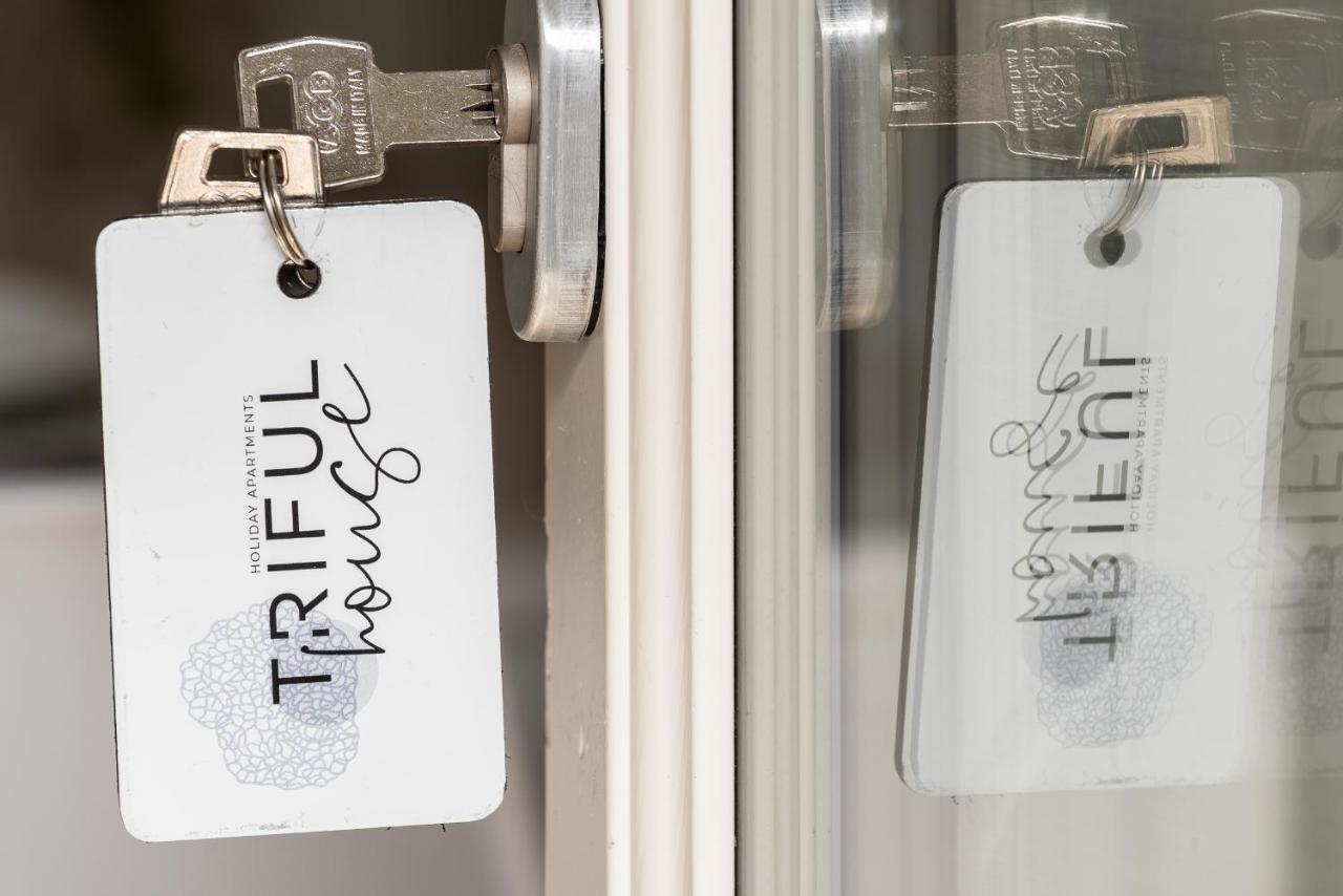 Trifulhouse Holiday Apartments Άλμπα Εξωτερικό φωτογραφία
